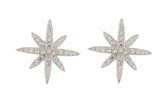 Stylish Design Star 925 Sterling Silver Earrings studded with CZ